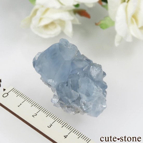 ޥ뻺 쥹ȤθСʥ饹No.15μ̿1 cute stone