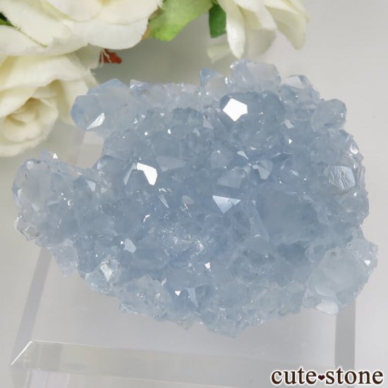 マダガスカル産 セレスタイトの原石（クラスター）No.16 - cute stone -