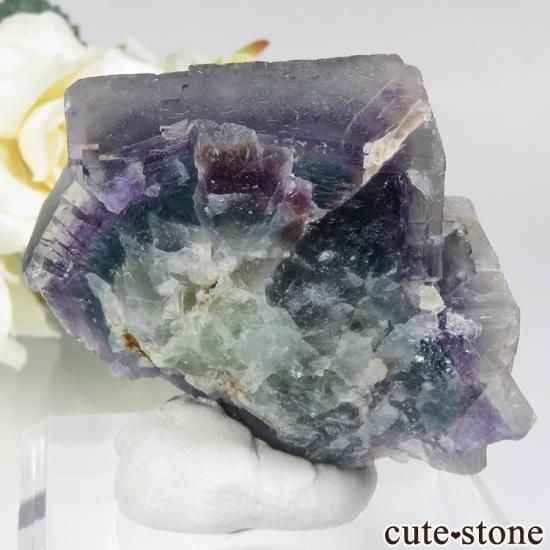 եꥫ Riemvasmaak ե饤 No.6μ̿1 cute stone