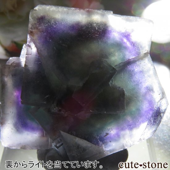 եꥫ Riemvasmaak ե饤 No.6μ̿3 cute stone