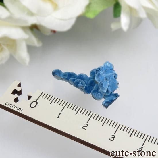 ʥߥӥ Kaokoveld åȤθ No.1μ̿1 cute stone