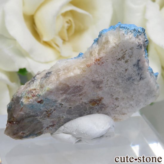 ʥߥӥ Kaokoveld åȤθ No.2μ̿0 cute stone