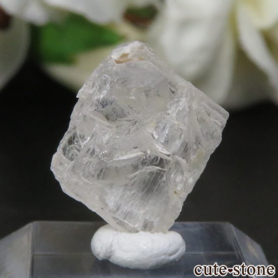  Embilipitiya 󥹥Ȥθ No.1μ̿1 cute stone
