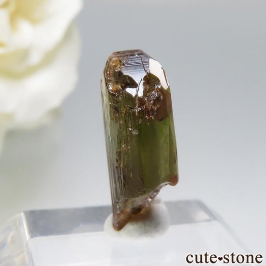  Embilipitiya 륵Ȥθ No.1μ̿0 cute stone