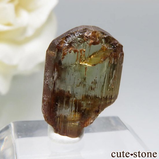  Embilipitiya 륵Ȥθ No.1μ̿1 cute stone