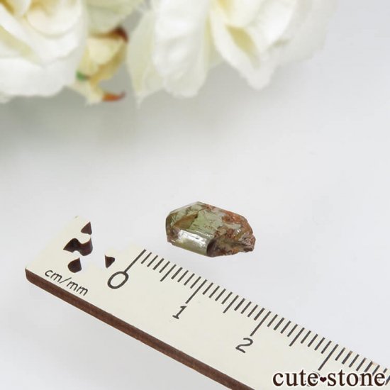  Embilipitiya 륵Ȥθ No.1μ̿3 cute stone