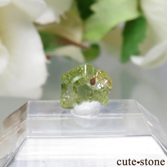  Ratnapura ꥽٥θ No.1μ̿1 cute stone