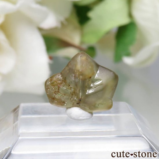  Ratnapura ꥽٥θСо No.2μ̿1 cute stone