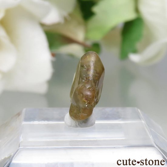  Ratnapura ꥽٥θСо No.2μ̿2 cute stone