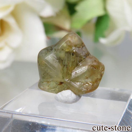  Ratnapura ꥽٥θСо No.2μ̿3 cute stone
