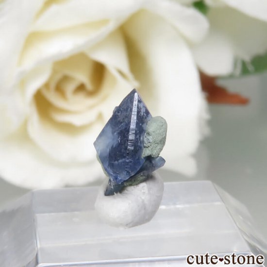ե˥ ٥˥ȥȤθ No.75μ̿2 cute stone