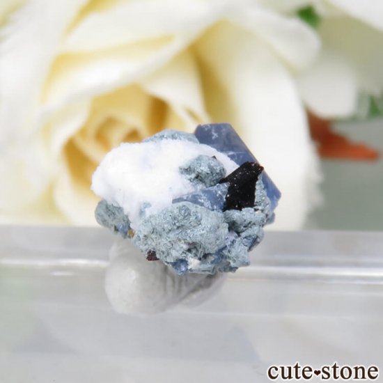 ե˥ ٥˥ȥȡͥץʥȤդ No.76μ̿1 cute stone