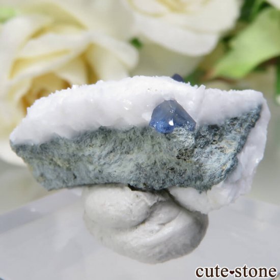 ե˥ ٥˥ȥȤդ No.77μ̿2 cute stone