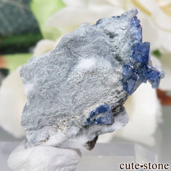 ե˥ ٥˥ȥȤդ No.78μ̿0 cute stone