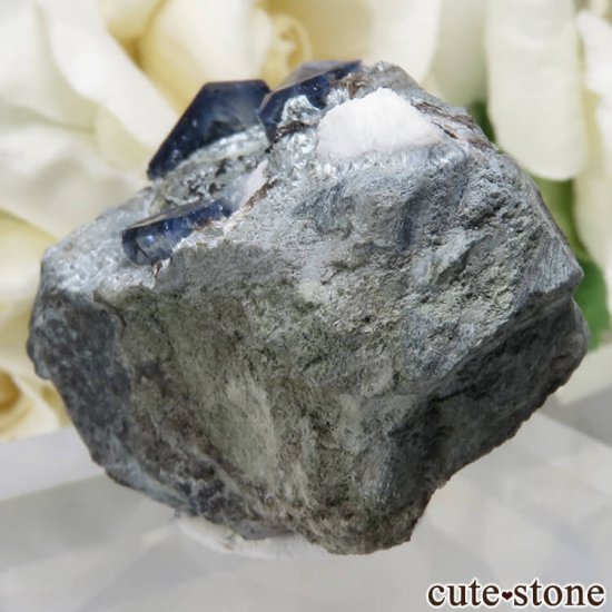 ե˥ ٥˥ȥȤդ No.81μ̿1 cute stone