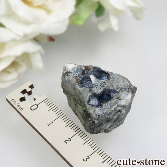 ե˥ ٥˥ȥȤդ No.81μ̿5 cute stone