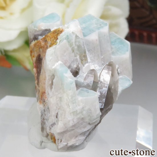 ɽ Crystal Peak ޥʥȡ⡼Ĥθ No.3μ̿0 cute stone