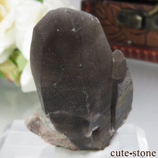 ɽ ޥʥȡ⡼Ĥθ No.4μ̿0 cute stone
