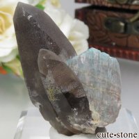 アマゾナイト」の商品一覧（ブレスレット、etc）【cute stone】