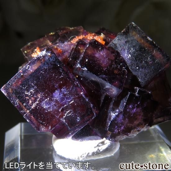 ɥ Frohnau ѡץߥե饤 No.8μ̿1 cute stone