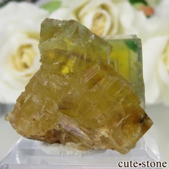 ɥ Frohnau ߥ֥롼ߥѡץե饤 No.9μ̿0 cute stone