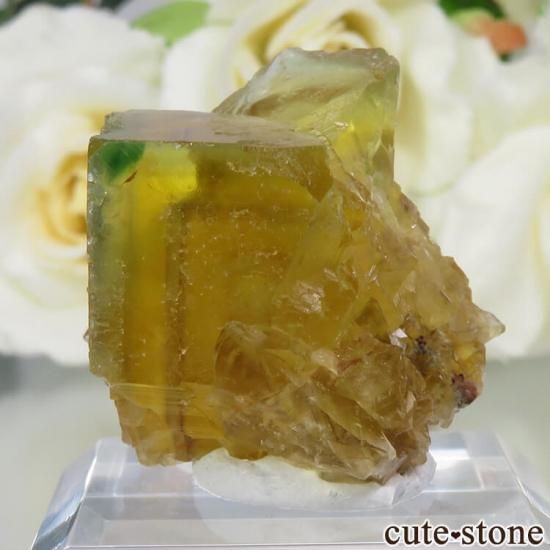 ɥ Frohnau ߥ֥롼ߥѡץե饤 No.9μ̿1 cute stone