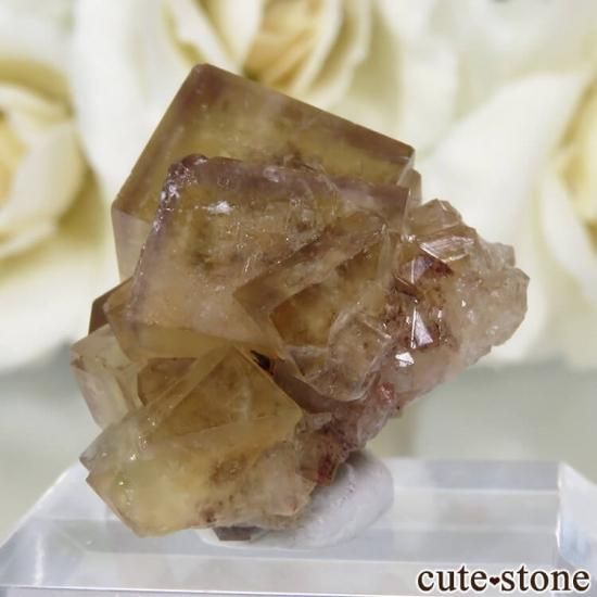 ɥ Frohnau ߥѡץե饤 No.10μ̿1 cute stone