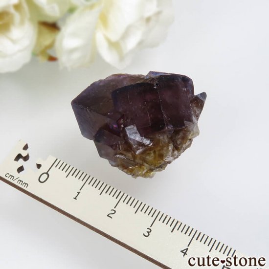 ɥ Frohnau ߥ֥롼ߥѡץե饤 No.11μ̿3 cute stone