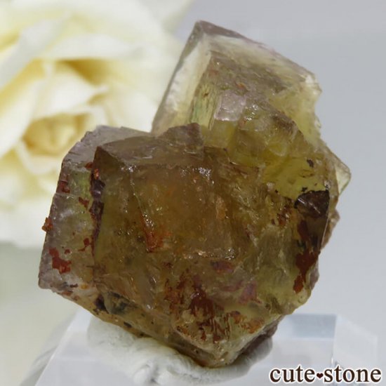 ɥ Frohnau ߥ֥롼ߥѡץե饤 No.12μ̿1 cute stone