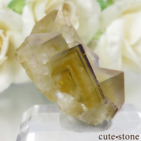 ɥ Frohnau ߥ֥롼ߥѡץե饤 No.13μ̿0 cute stone