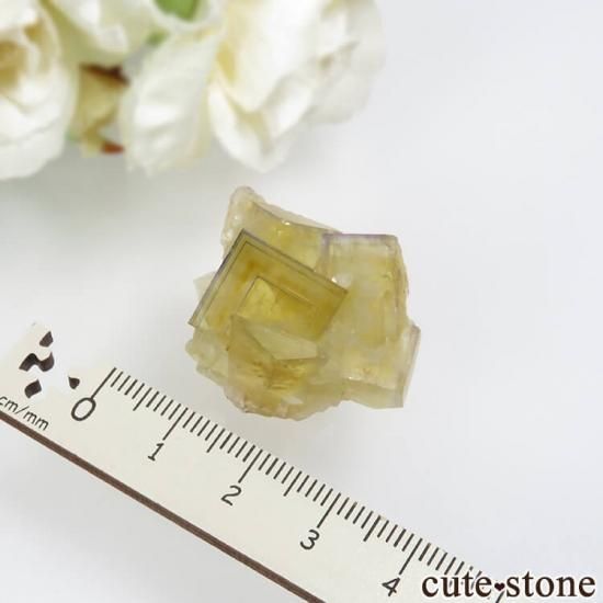 ドイツ Frohnau産 イエロー×ブルー×パープルフローライト No.13の写真2 cute stone