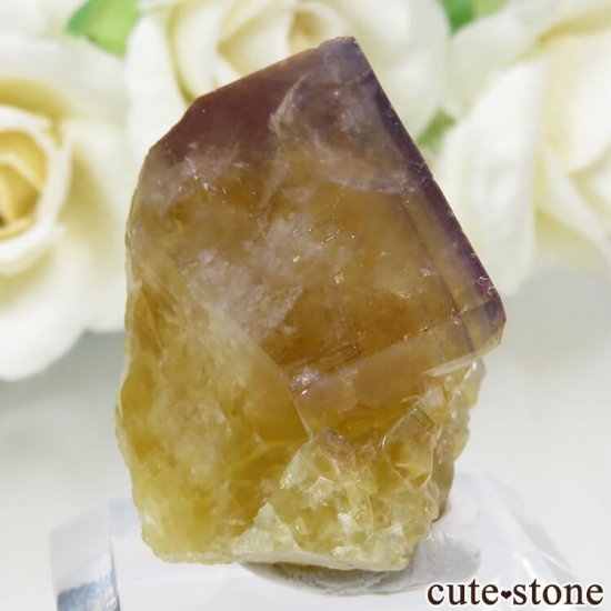 ɥ Frohnau ߥѡץե饤 No.14μ̿0 cute stone