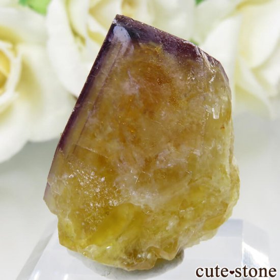 ɥ Frohnau ߥѡץե饤 No.14μ̿1 cute stone