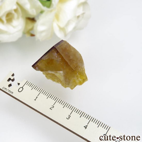 ɥ Frohnau ߥѡץե饤 No.14μ̿2 cute stone