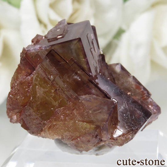 ɥ Frohnau ѡץߥե饤 No.15μ̿0 cute stone