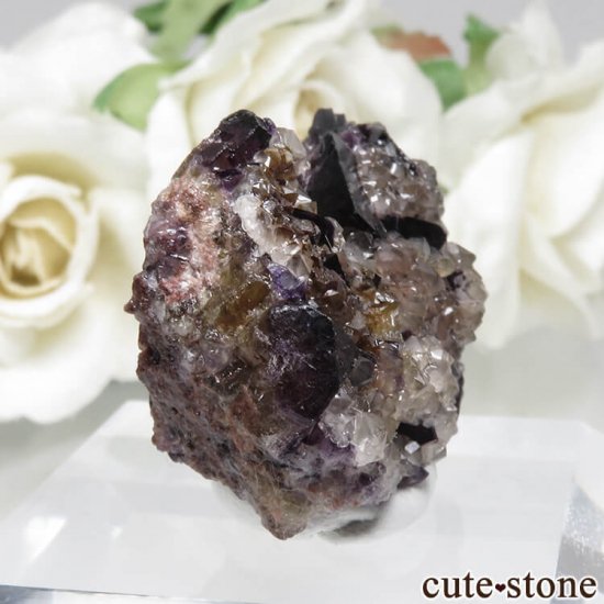 ɥ Frohnau ѡץߥե饤ȡ No.16μ̿0 cute stone