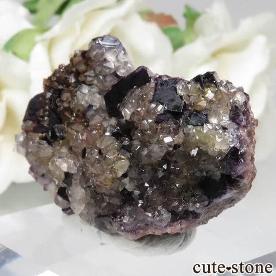 ɥ Frohnau ѡץߥե饤ȡ No.16μ̿1 cute stone