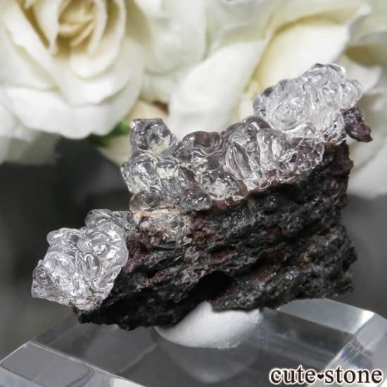 ϥ󥬥꡼ Kopasz Hill andesite quarry ϥ饤(ѡ)դ No.11μ̿1 cute stone