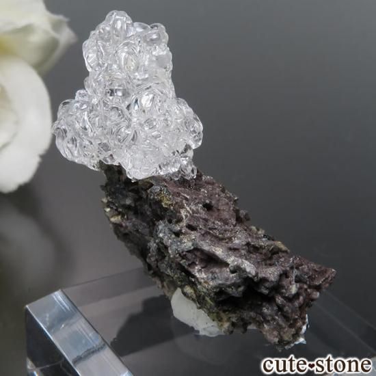 ϥ󥬥꡼ Kopasz Hill andesite quarry ϥ饤(ѡ)դ No.12μ̿1 cute stone