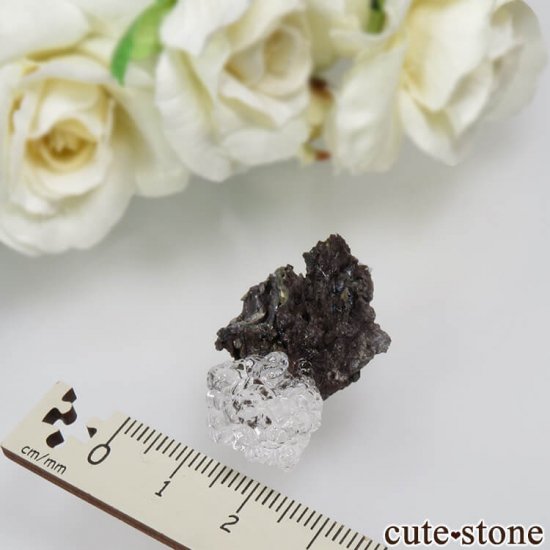 ϥ󥬥꡼ Kopasz Hill andesite quarry ϥ饤(ѡ)դ No.12μ̿2 cute stone