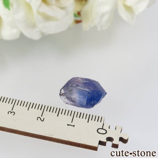 󥶥˥ ˻ 󥶥ʥȤθ No.37μ̿3 cute stone