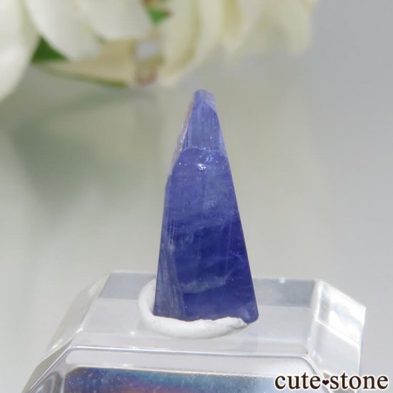 󥶥˥ ˻ 󥶥ʥȤθ No.38μ̿0 cute stone