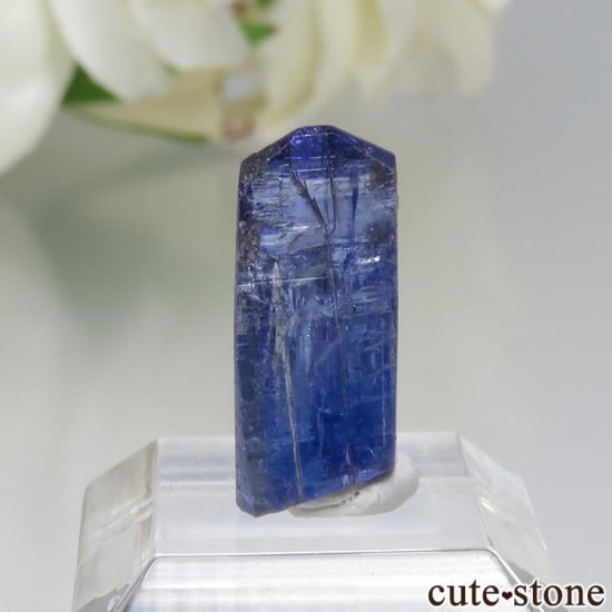 󥶥˥ ˻ 󥶥ʥȤθ No.39μ̿1 cute stone