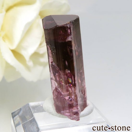  Malkhan ȥޥ뾽() 2.4gμ̿0 cute stone
