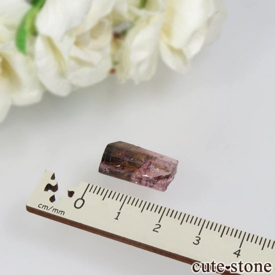  Malkhan ȥޥ뾽() 2.4gμ̿3 cute stone