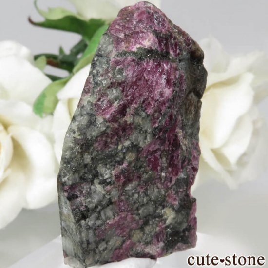  桼ǥ饤ȤʪʸСݥåNo.1μ̿1 cute stone