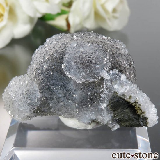  Nashik Mohadari Ĥθ No.1μ̿0 cute stone