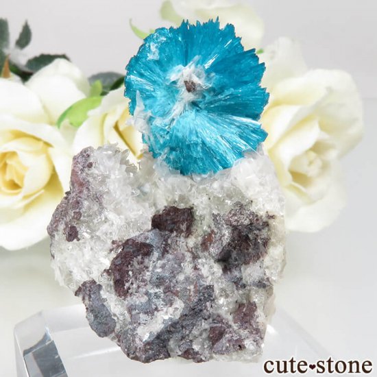  ץ͡ Х󥵥ȡҥ塼Ȥդ뾽ʸСNo.23μ̿1 cute stone