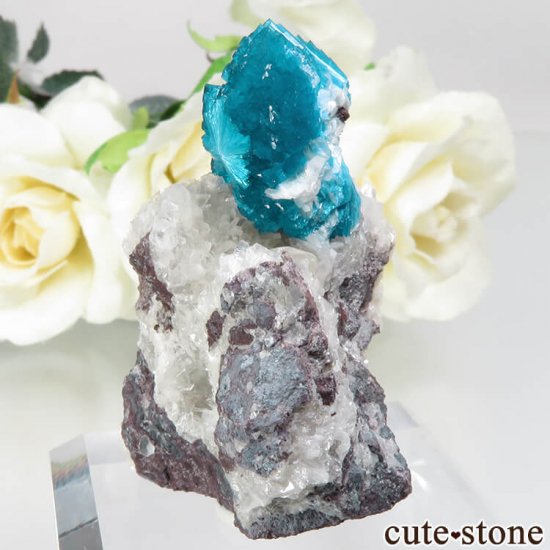  ץ͡ Х󥵥ȡҥ塼Ȥդ뾽ʸСNo.23μ̿2 cute stone