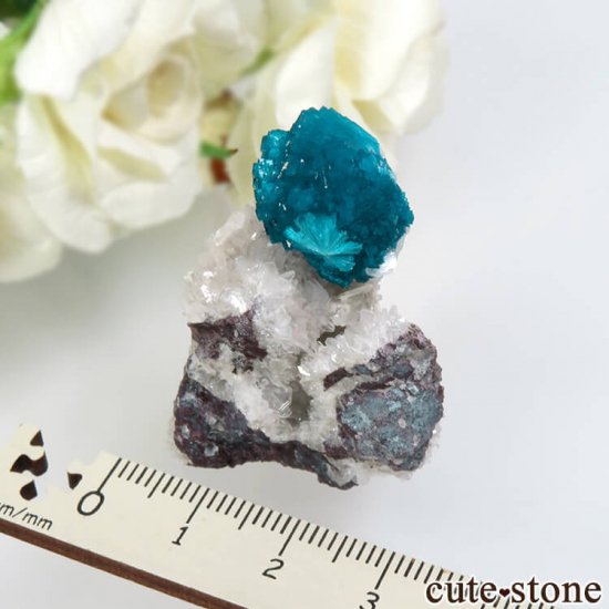  ץ͡ Х󥵥ȡҥ塼Ȥդ뾽ʸСNo.23μ̿4 cute stone